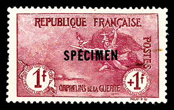 Lot 1323