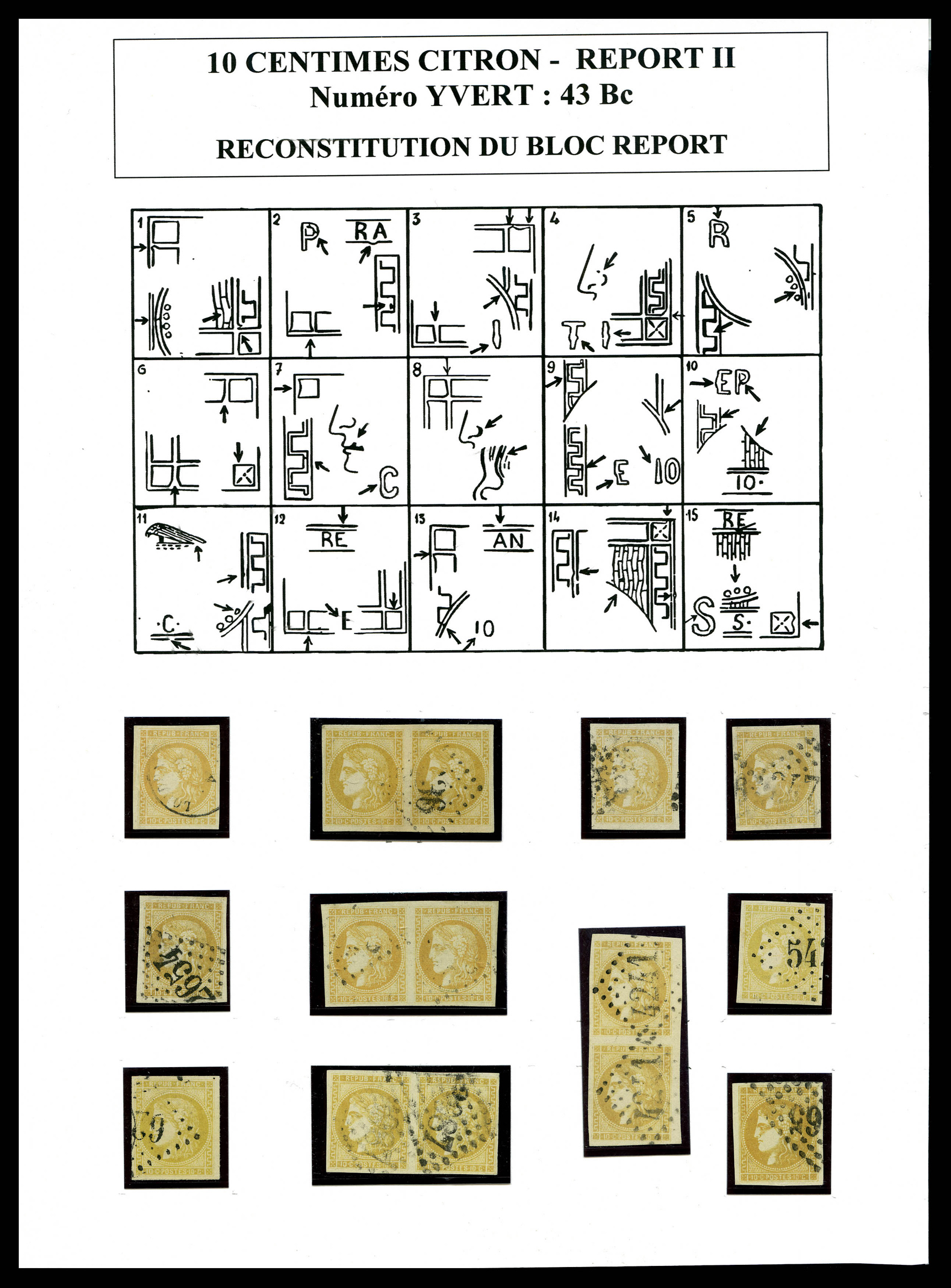 Lot 592