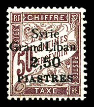 Lot 4007