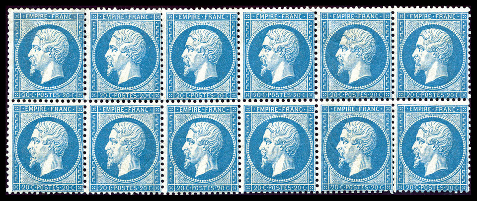 Lot 333