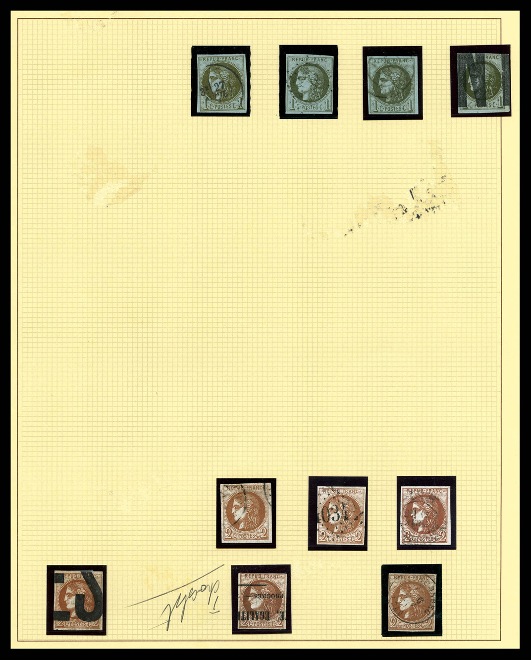 Lot 697
