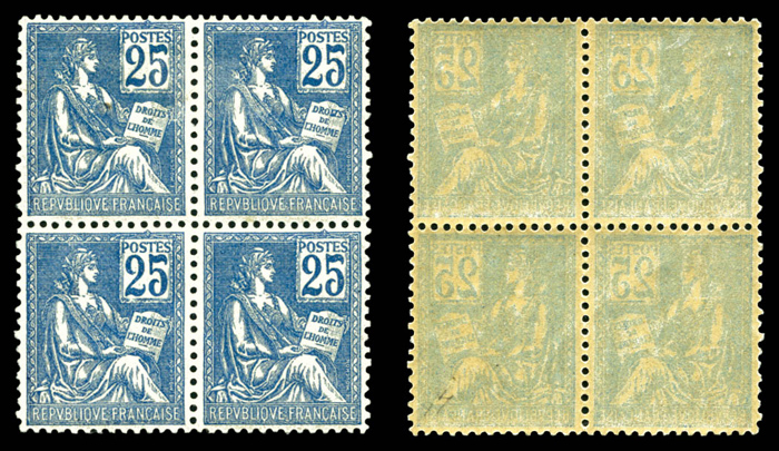 Lot 1591