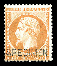 Lot 348