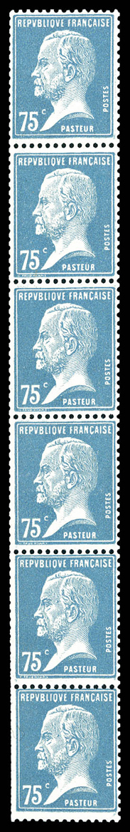 Lot 2449