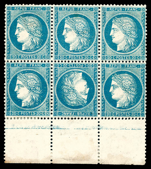 Lot 455