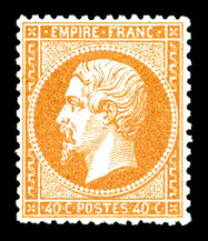 Lot 337