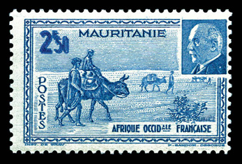 Lot 3553