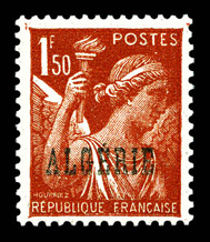 Lot 3175