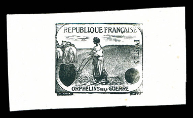 Lot 1184