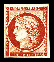 Lot 113