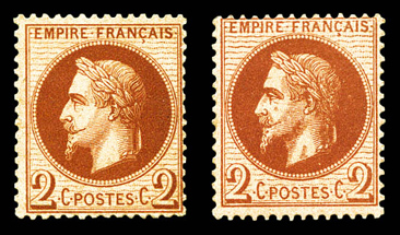 Lot 531