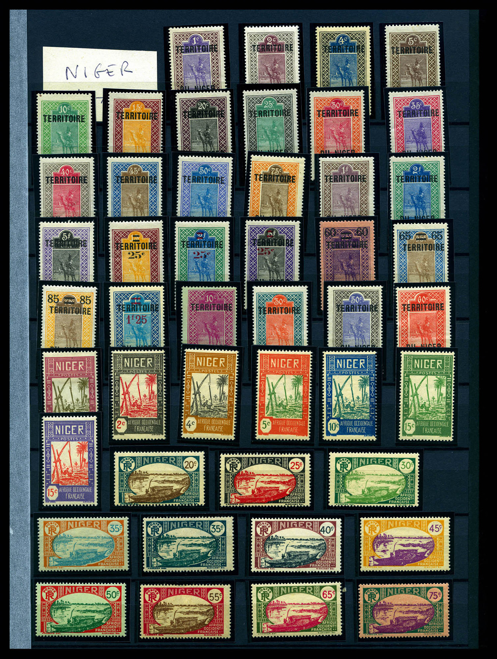 Lot 3937