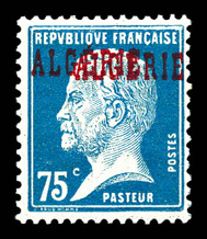 Lot 3135