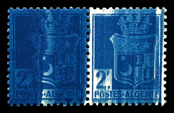Lot 3167