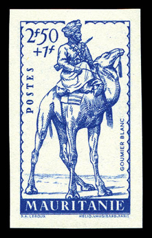 Lot 3842