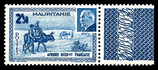 Lot 3843