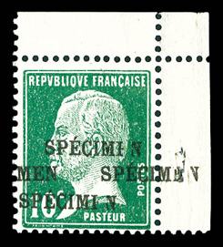Lot 1213
