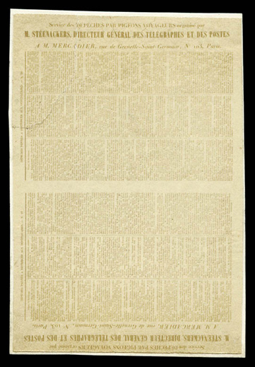 Lot 1022
