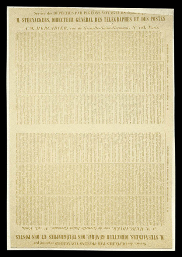 Lot 1023