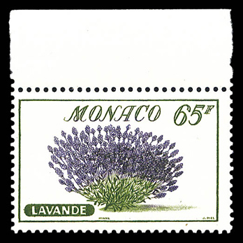 Lot 2976