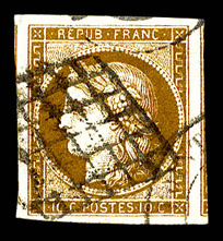 Lot 31
