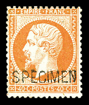 Lot 501