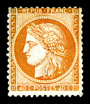 Lot 509