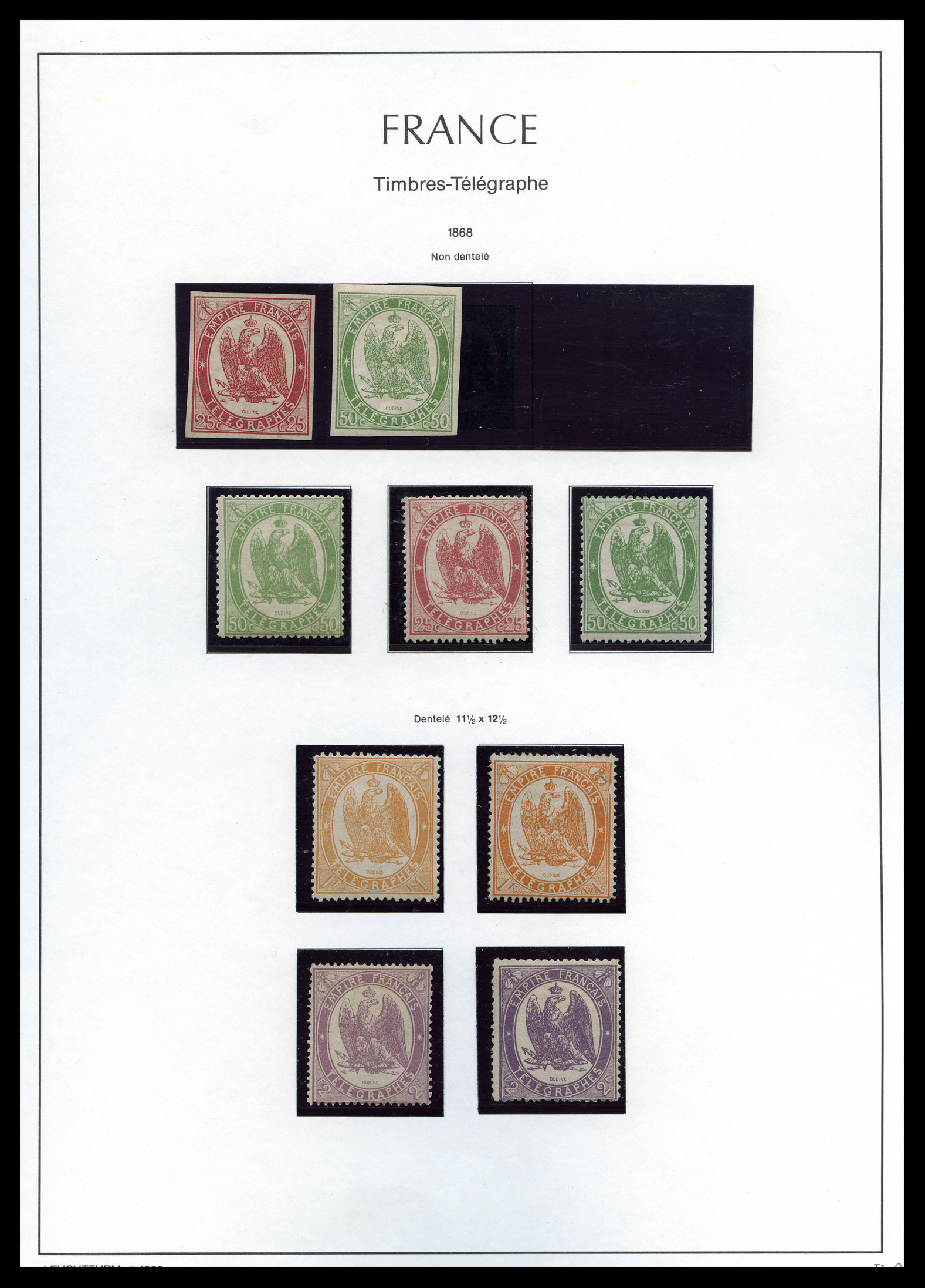Lot 1013
