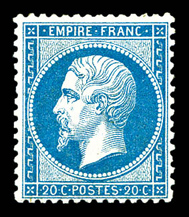 Lot 337