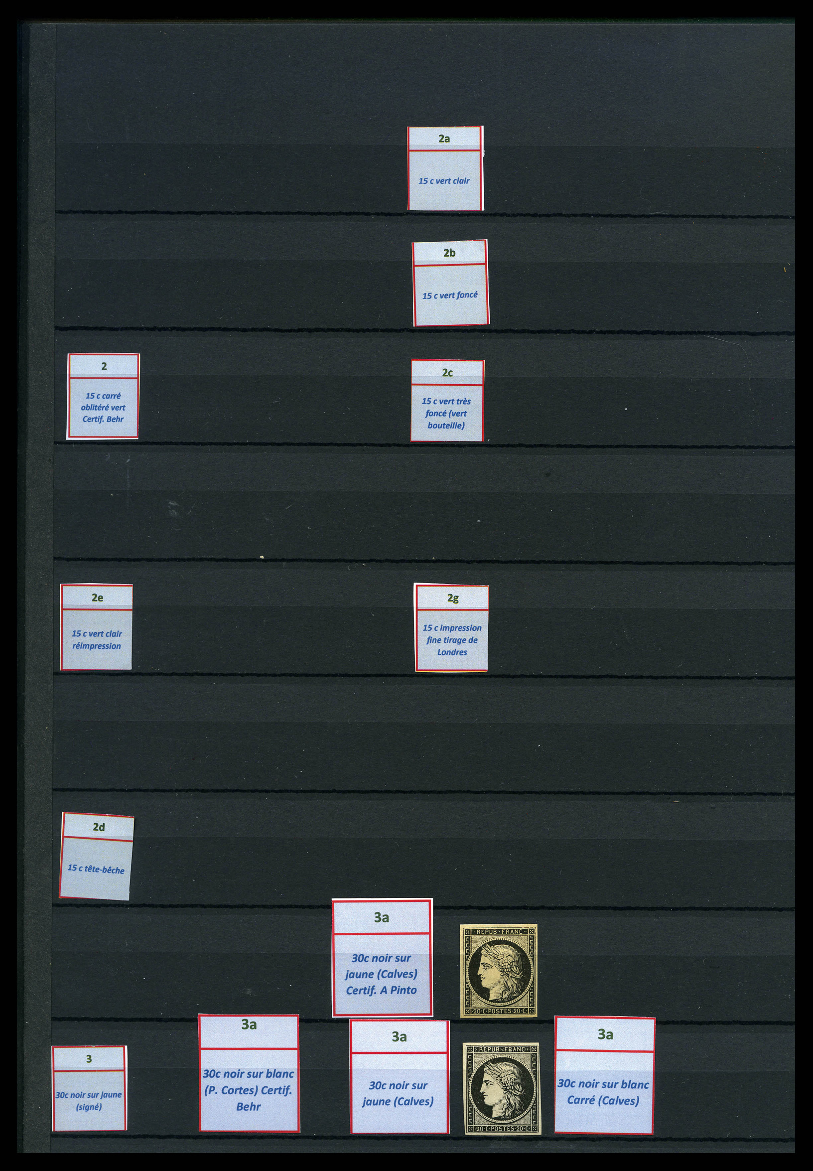 Lot 3167