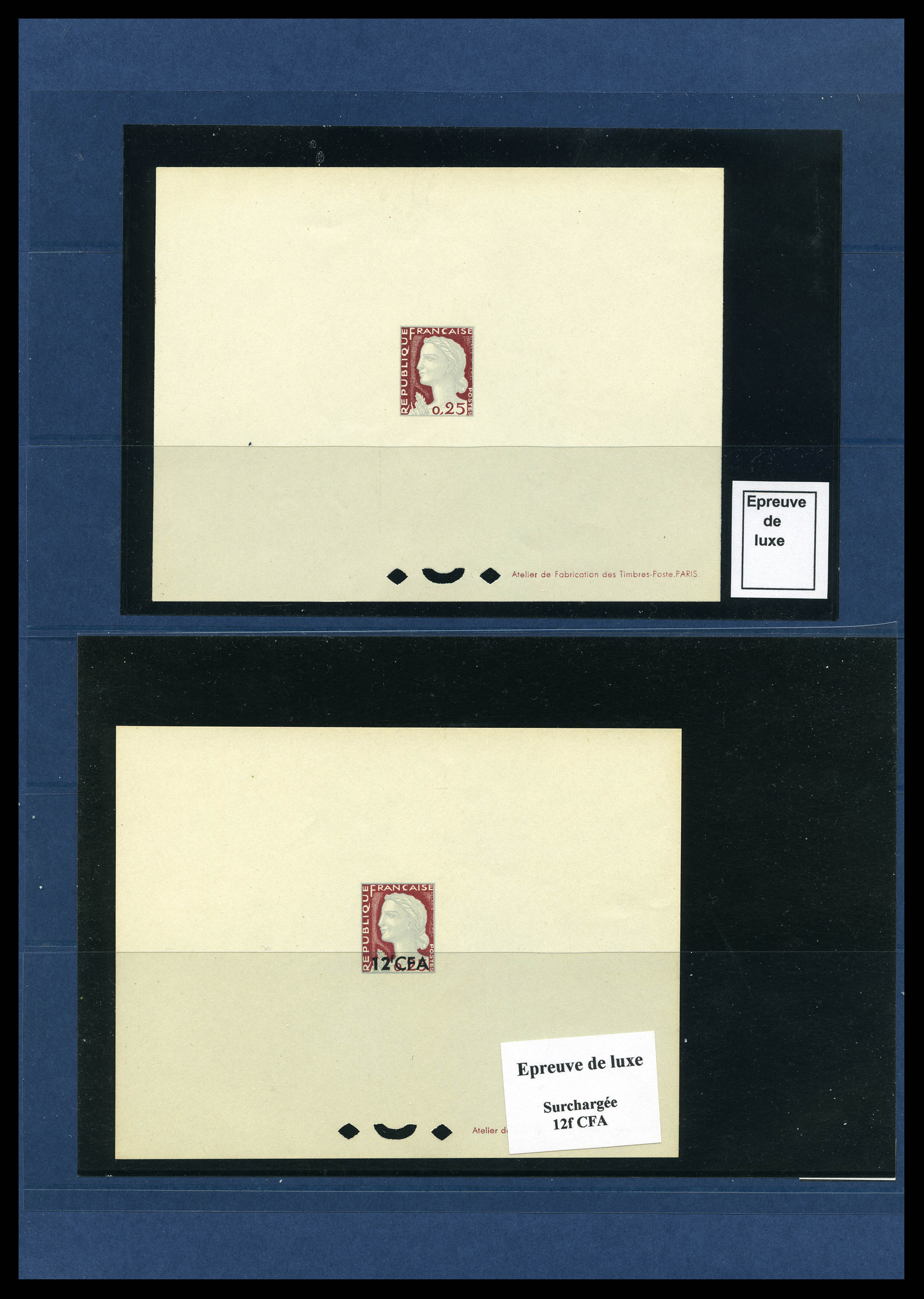 Lot 1598
